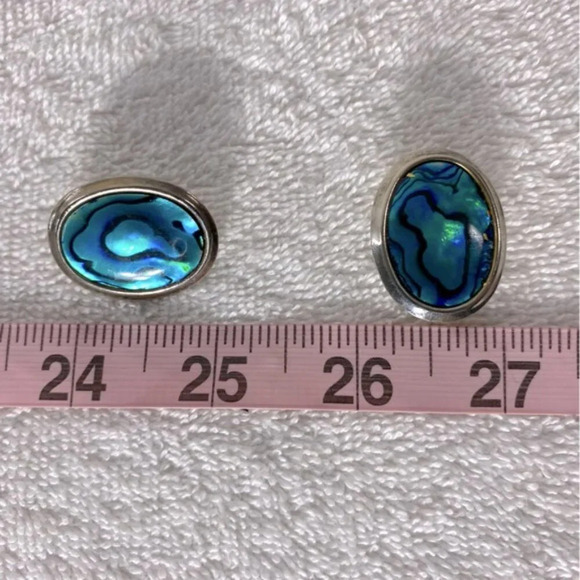 Vintage Blue Faux Abalone W Silver Tone Trim Oval Clop On Earrings - Picture 9 of 9